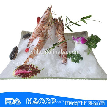 HL002 best quality fresh frozen red shrimp and seafood